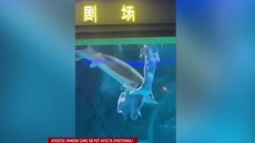 VIDEO Sirenă mușcată de un sturion! Imaginile șocante au fost filmate în China